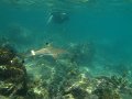 IMG_2662 (2)